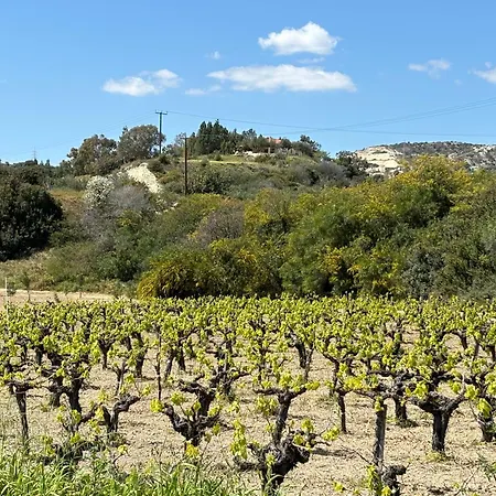 شقة Lavi's Haven 2b, Paphos, Pool